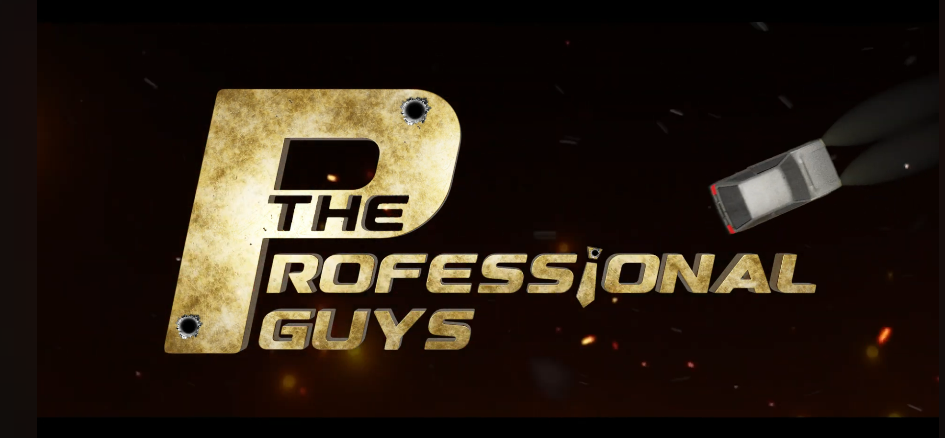 The Professional Guys